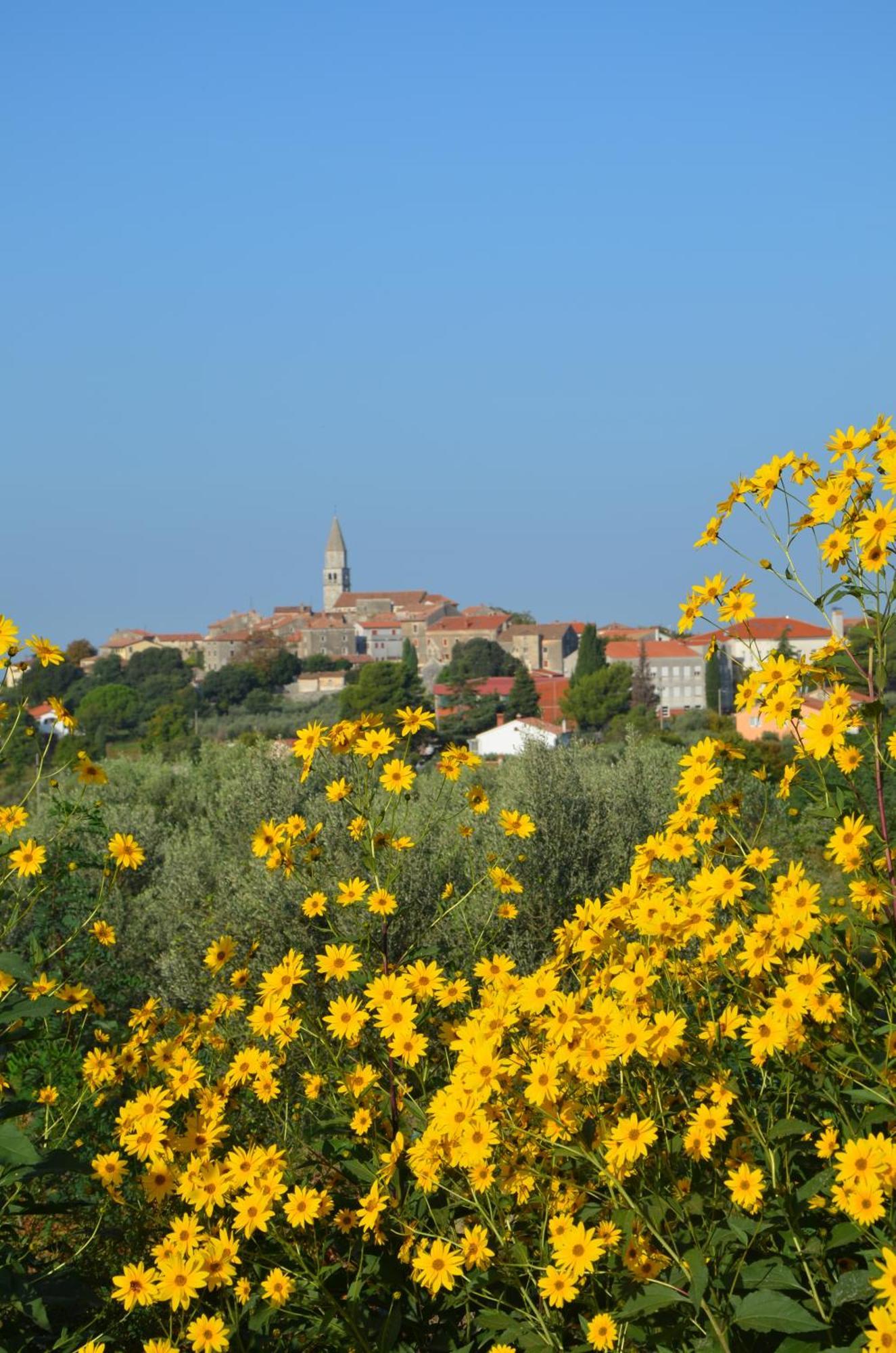 Villa Leopoldo By Istrian Country Houses Barat  Zewnętrze zdjęcie