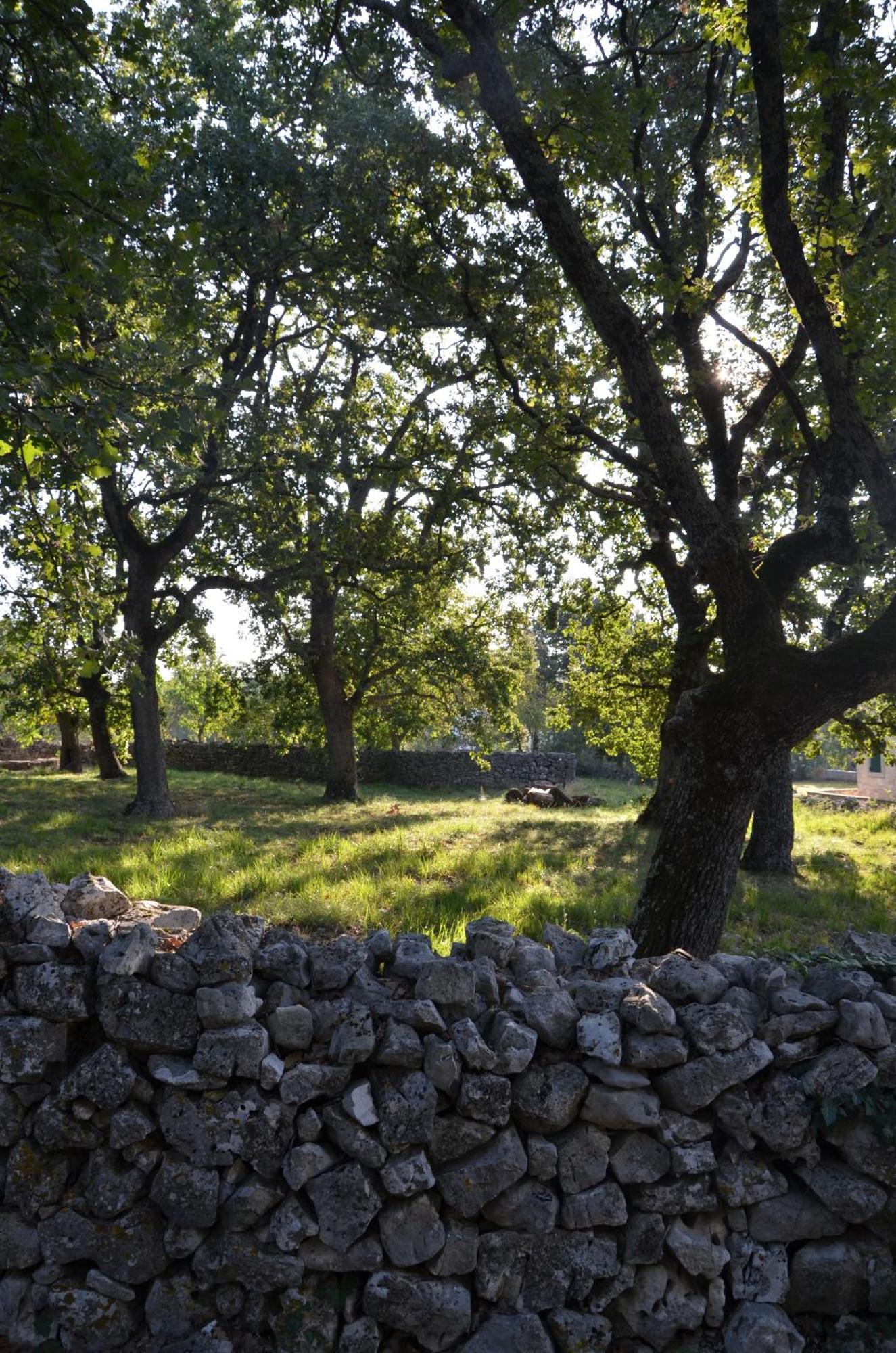 Villa Leopoldo By Istrian Country Houses Barat  Zewnętrze zdjęcie